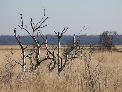 BUITEN BEELD Foto: 2807