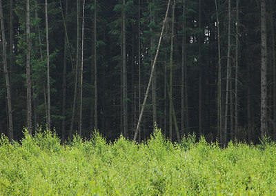 BUITEN BEELD Foto: 2821