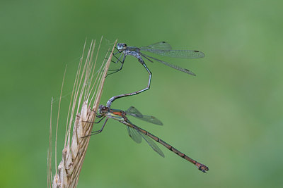 BUITEN BEELD Foto: 2842