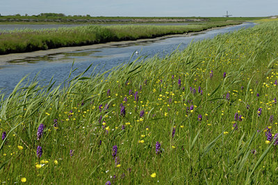 BUITEN BEELD Foto: 2851