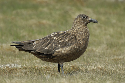 BUITEN BEELD Foto: 2871