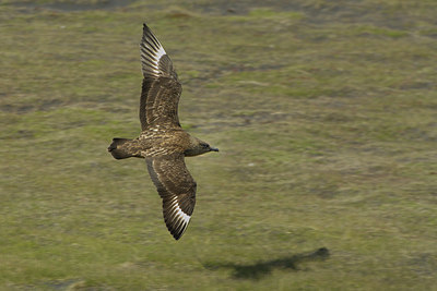 BUITEN BEELD Foto: 2891