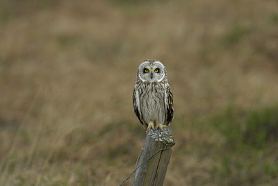 BUITEN BEELD Foto: 2918