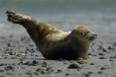 BUITEN BEELD Foto: 2966