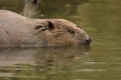 BUITEN BEELD Foto: 29016