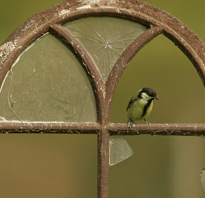 BUITEN BEELD Foto: 29023