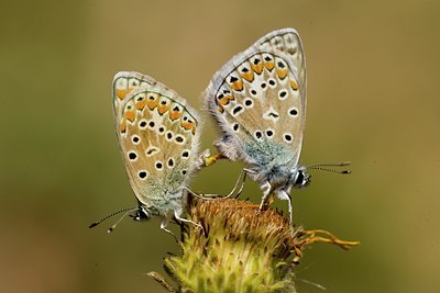 BUITEN BEELD Foto: 29039