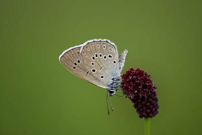 BUITEN BEELD Foto: 29049