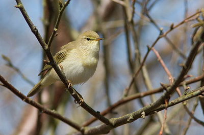 BUITEN BEELD Foto: 29151