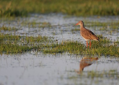 BUITEN BEELD Foto: 29181