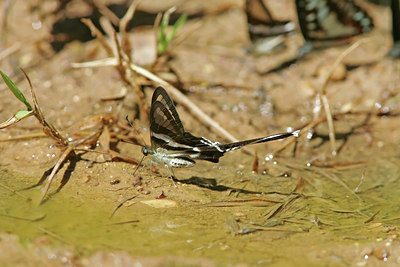 BUITEN BEELD Foto: 29186
