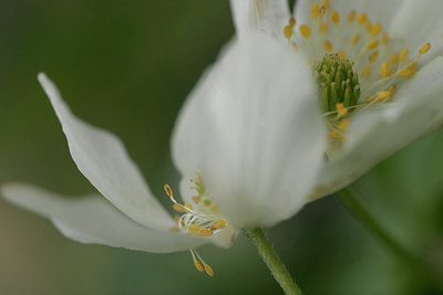 BUITEN BEELD Foto: 29230