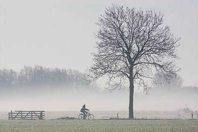BUITEN BEELD Foto: 29256