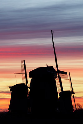 BUITEN BEELD Foto: 29271