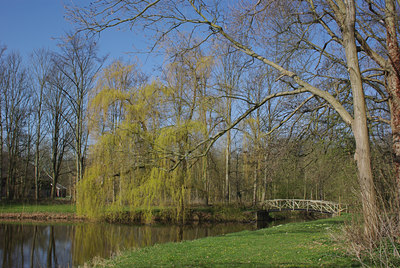 BUITEN BEELD Foto: 29280