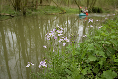 BUITEN BEELD Foto: 29287