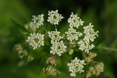 BUITEN BEELD Foto: 29342