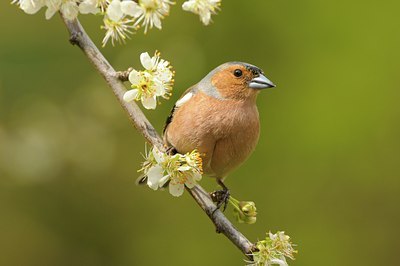BUITEN BEELD Foto: 29359