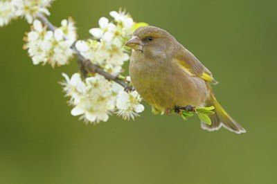 BUITEN BEELD Foto: 29362
