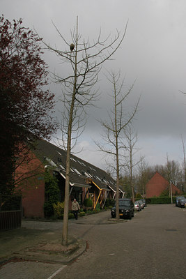 BUITEN BEELD Foto: 29397