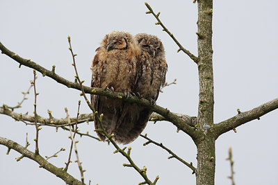 BUITEN BEELD Foto: 29401