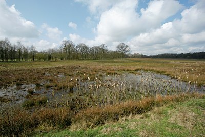 BUITEN BEELD Foto: 29447