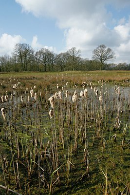 BUITEN BEELD Foto: 29449