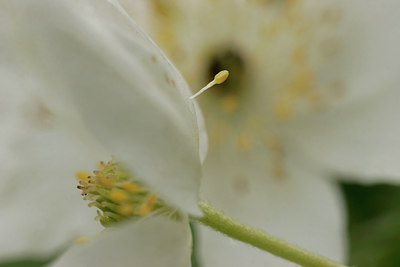 BUITEN BEELD Foto: 29456