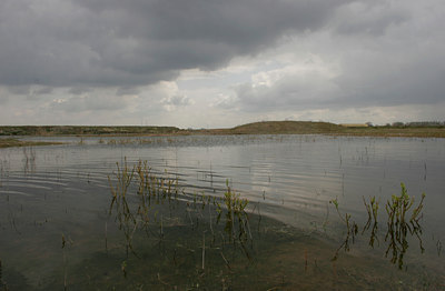 BUITEN BEELD Foto: 29458