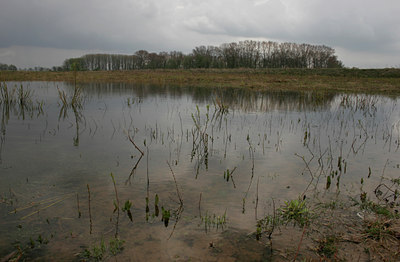 BUITEN BEELD Foto: 29459