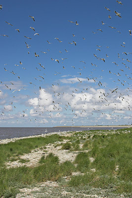 BUITEN BEELD Foto: 29482