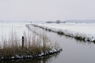 BUITEN BEELD Foto: 29500