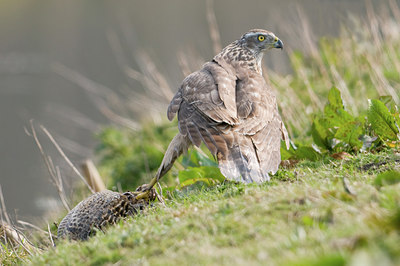 BUITEN BEELD Foto: 29538