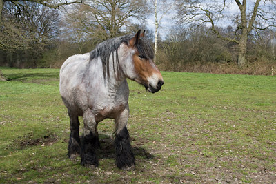 BUITEN BEELD Foto: 29602