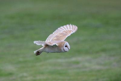 BUITEN BEELD Foto: 29611
