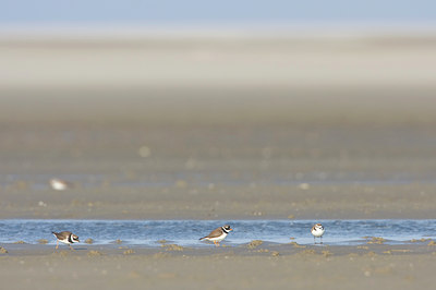 BUITEN BEELD Foto: 29675