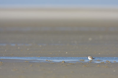 BUITEN BEELD Foto: 29676