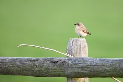 BUITEN BEELD Foto: 29722