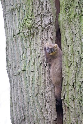 BUITEN BEELD Foto: 29739