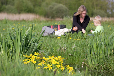 BUITEN BEELD Foto: 29758