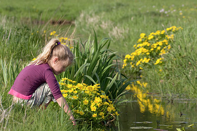 BUITEN BEELD Foto: 29761