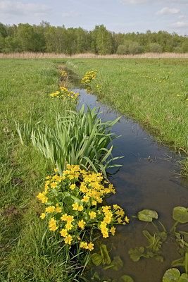 BUITEN BEELD Foto: 29769