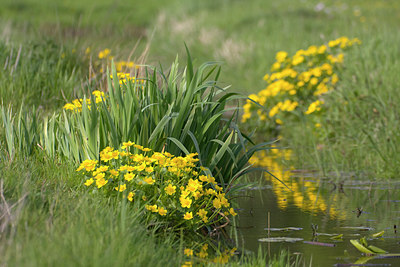BUITEN BEELD Foto: 29774