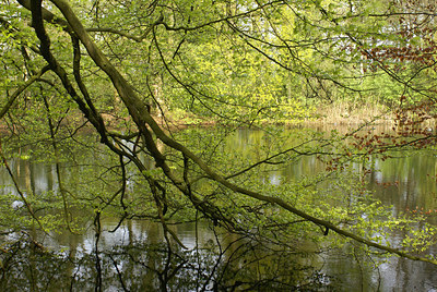 BUITEN BEELD Foto: 29781