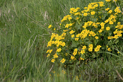 BUITEN BEELD Foto: 29804