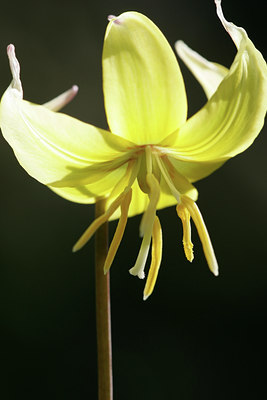 BUITEN BEELD Foto: 29851