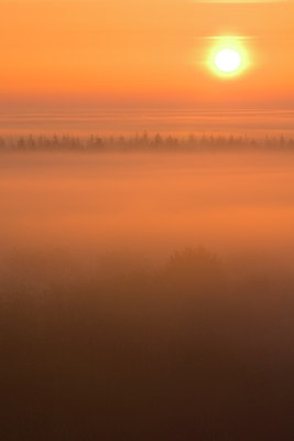 BUITEN BEELD Foto: 29883