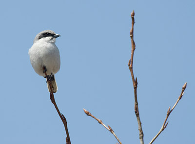 BUITEN BEELD Foto: 29890