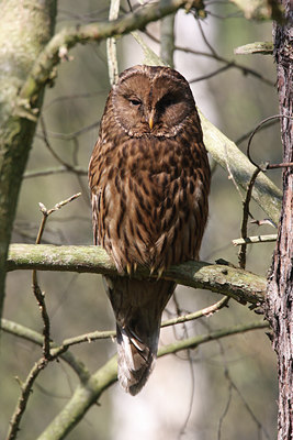 BUITEN BEELD Foto: 29902