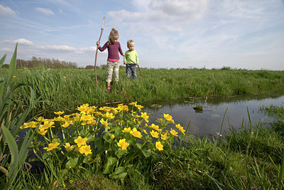 BUITEN BEELD Foto: 29908